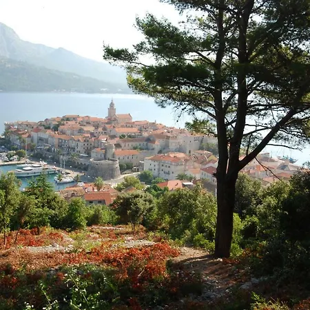 Vila Mila Holiday home *